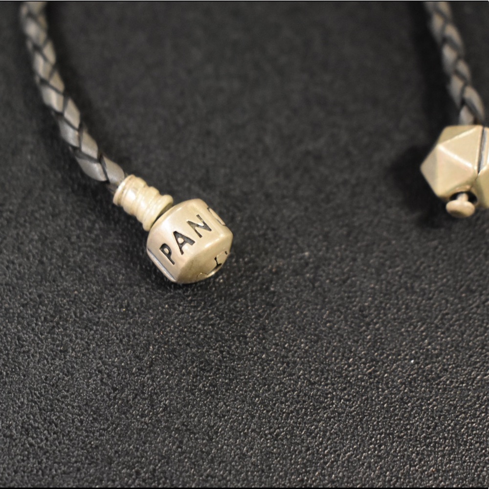 Pandora Bundle - image 2